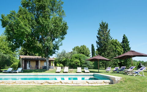 Podere Gragnano 12: Árbol, Hierba, Arbusto, El Terreno Del Lote, Césped, Jardín, Casa, Inmuebles, Cabaña