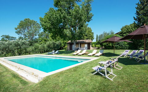 Podere Gragnano 12: Árbol, Casa, Casa, El Terreno Del Lote, Inmuebles, Casa De Campo, Cabaña, Jardín, Césped, Piscina