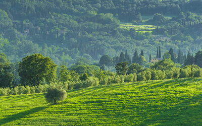 Podere Gragnano 12