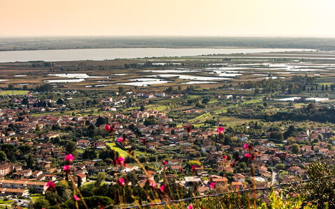Il Ciliegio sul Lago 6: Barrio Residencial, Vista Panorámica, Fotografía Aérea, Paisaje, Barrio, Suburbio, Diseño Urbano, Campo, Pueblo, Plantación