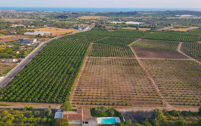 Il Giardino dei Limoni 8