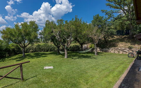 Il Casale del Nonno 8+2: Árbol, Paisaje, Arbusto, El Terreno Del Lote, Llanura, Jardín, Césped, Prado, Sombra