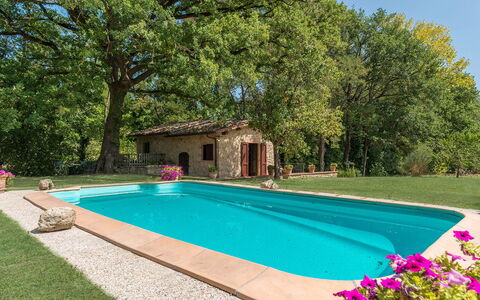 Mulino della Quercia 2+1: Piscina, Jardín, Patio Interior, Sombra, Paisajismo, Hacienda, Casa De Campo, Yarda, Eco Hotel, Recurso