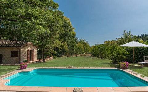 Mulino della Quercia 2+1: Piscina, Patio Interior, Jardín, Inmuebles, Recurso, Hacienda, Ocio, Sombra, Eco Hotel, Casa De Campo