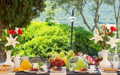Terripi 10: Vajilla, Verde, Mesa, Mueble, Comida, Fruta, Manteles, Drinkware, Utensilios Para Servir