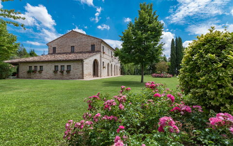 Villa Ambrah 12+1: Hierba, Árbol, Arbusto, Paisaje, Jardín, Llanura, Césped, Inmuebles, Yarda
