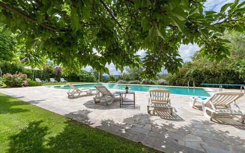Villa Ambrah 12+1: Piscina, Mueble Para Exteriores, Jardín, Sombra, Recurso, Silla, Losa, Eco Hotel, Paisajismo, Patio Interior