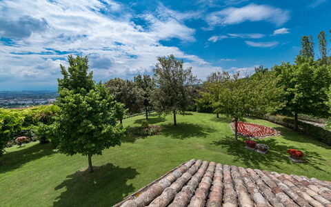 Villa Ambrah 12+1: Cielo, Árbol, Hierba, Naturaleza, Verde, Vegetación, Paisaje, Arbusto, Nube, El Terreno Del Lote