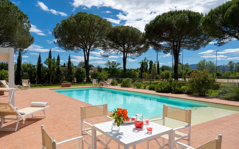Villa Elisa 16