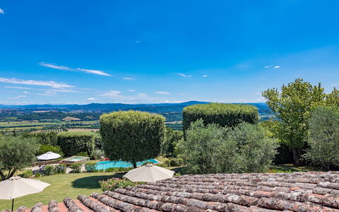 Villa Il Cedro 10+1: Colina, Paisaje, Tierras Altas, Hill Station, Jardín, Paisajismo, Mueble Para Exteriores, Eco Hotel, Piscina, Recurso