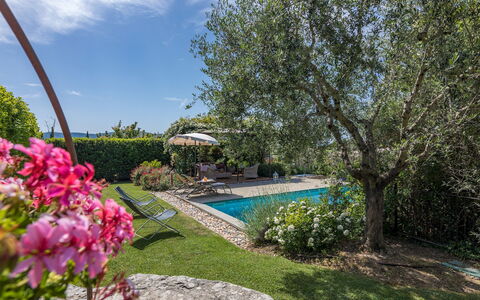 La Capannina 2+2: Azul, Arbusto, Jardín, Paisajismo, Piscina, Sombra, Patio Interior, Yarda, Inmuebles, Hacienda