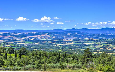 Villa Bella 8
