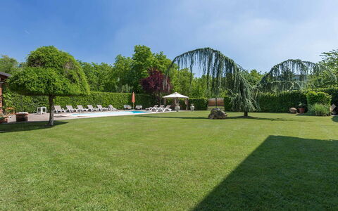 Villa Miki 10: Árbol, Hierba, Arbusto, Jardín, Piscina, El Terreno Del Lote, Ocio, Césped, Sombra, Paisajismo