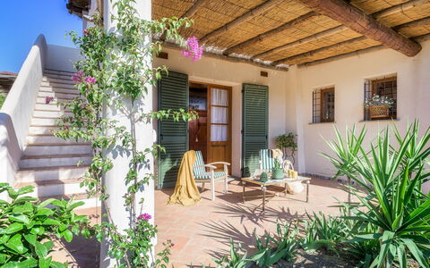 Villa Zaca 6: Maceta, Casa, Jardín, Puerta, Sombra, Planta De Casa, Paisajismo, Hacienda, Patio Interior