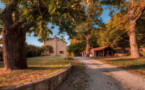 Casale del Castagneto 8: Árbol, Rama, Hierba, Hoja, Naturaleza, Casa, Cabaña, Casa, Paisaje, Techo