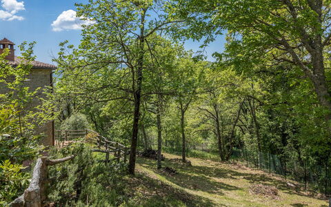 Casa Largnano 6+2: Rama, Árbol, Hoja, Naturaleza, Vegetación, Arbusto, Planta De La Comunidad, Ramita, Primavera, El Maletero
