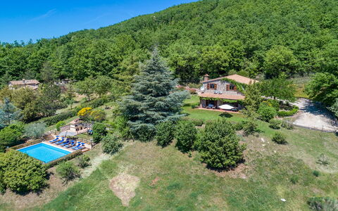 Villa Paola 6: Paisaje, Área Rural, Inmuebles, Hill Station, Bosque, Eco Hotel, Vista Panorámica, Selva, Plantación, Paisajismo