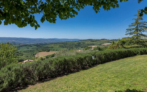 Villa Mila 6: Cielo, Árbol, Verde, Entorno Natural, Hierba, Naturaleza, Hoja, Colina, Vegetación