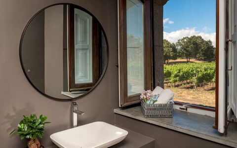 Villa Terre Normanne 10