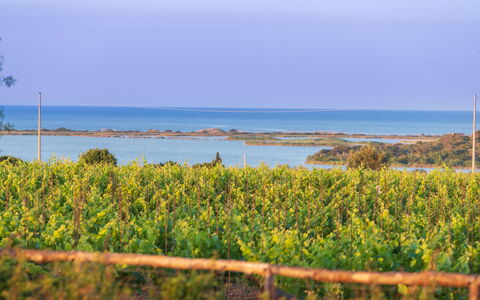 Villa Passo degli Aironi 12: Azul, Horizonte, Costeras Y Los Accidentes Geográficos Oceánico, Mar, Costa, Oceano, Plantación, Apuntalar, Campo, Shrubland