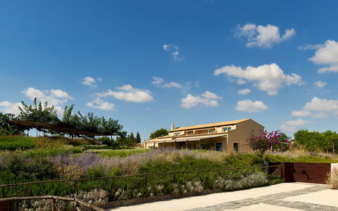 Villa Majoli 9: Arbusto, Paisaje, El Terreno Del Lote, Planta De La Comunidad, Área Rural, Inmuebles, Casa De Campo, Paisajismo, Shrubland