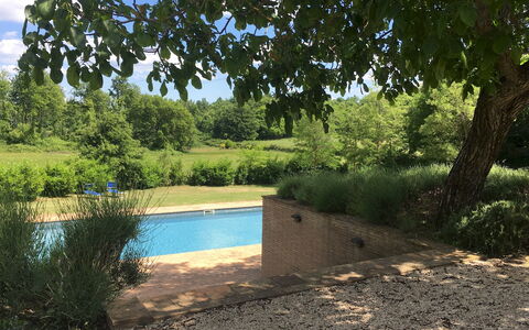 Villa Carmeli 12+2: Piscina, Jardín, Sombra, Patio Interior, Paisajismo, Hojas Perennes