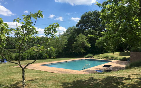 Villa Carmeli 12+2: Piscina, Árbol, Sombra, Jardín, Patio Interior, Césped, Paisajismo, Yarda, Parque, Recurso