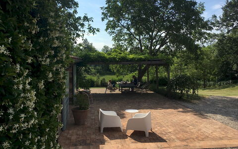 Villa Carmeli 12+2: Hoja, Arbusto, Jardín, Sombra, Primavera, Paisajismo, Patio Interior, Yarda, Pasarela
