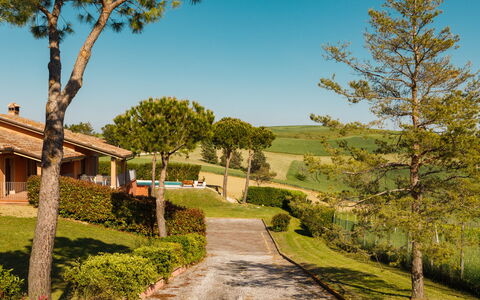 Villa California 6: Hierba, Arbusto, El Terreno Del Lote, Jardín, Paisajismo, Cabaña, Inmuebles, Césped, Sombra, Casa De Campo