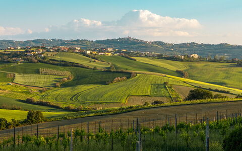 Villa California 6: Verde, Colina, Campo, Paisaje Natural, Agricultura, Pradera, Paisaje, Llanura, Tierras Altas, Área Rural