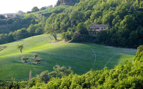 Casa Melograno 11+2: Verde, Hierba, Árbol, Entorno Natural, Naturaleza, Vegetación, Paisaje Natural, Pradera, Paisaje, Llanura