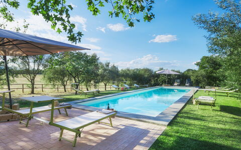 Casale Dell Oasi 12: Jardín, Piscina, Ocio, Inmuebles, Paisajismo, Parque, Sombra, Césped, Mueble Para Exteriores, Recurso