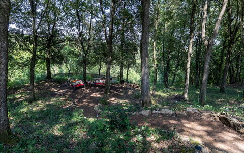 Villa Rinaldi 6: Hoja, Árbol, Entorno Natural, Madera, Rama, Vegetación, Bosque, Arboleda, Bosque, Planta De La Comunidad