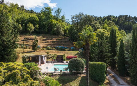 Villa Marraccini 8
