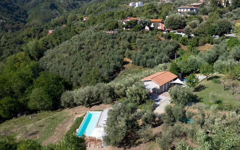 Villa Cristina 3