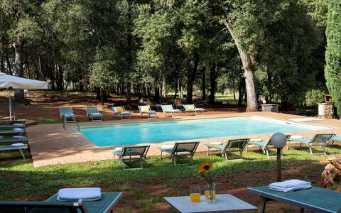 Borgo Gallinaio 32: Mueble Para Exteriores, Mueble, Piscina, Sombra, Recurso, Jardín, Sunlounger, Eco Hotel, Hacienda, Paisajismo