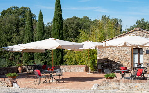 Borgo Gallinaio 32: Sombra, Mueble Para Exteriores, Paraguas, Jardín, Mesa Al Aire Libre, Silla, Paisajismo, Estructura Al Aire Libre, Yarda, Maceta