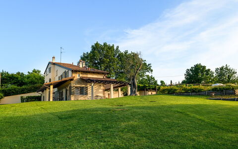 Villa Pergola 8: Hierba, Paisaje, El Terreno Del Lote, Área Rural, Llanura, Casa, Césped, Casa De Campo, Cabaña, Inmuebles