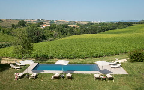 La Casa nei Vigneti 10