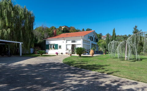 Villa Bubi 8+1: Árbol, Casa, Casa, Arbusto, Barrio Residencial, Cabaña, Inmuebles, Sombra, Entrada De Coches, Césped