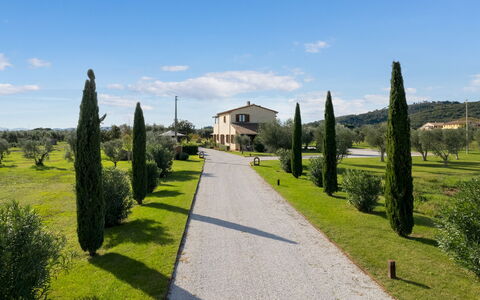 La Buganvilla 14: Cielo, Hierba, Arbusto, El Terreno Del Lote, Llanura, Prado, Paisajismo, Plantación
