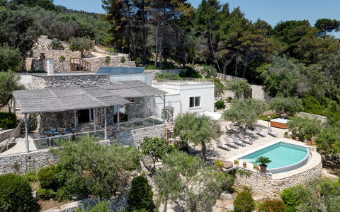 Villa Soleluna 7+1: Árbol, Casa, Casa, Inmuebles, Cabaña, Paisajismo, Eco Hotel, Villa, Recurso