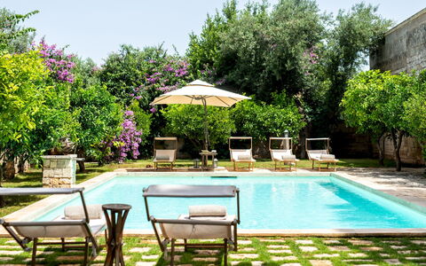Masseria Tarsia Incuria 8+4: Piscina, Mueble Para Exteriores, Recurso, Mueble, Maceta, Eco Hotel, Jardín, Silla, Material Compuesto, Patio Interior