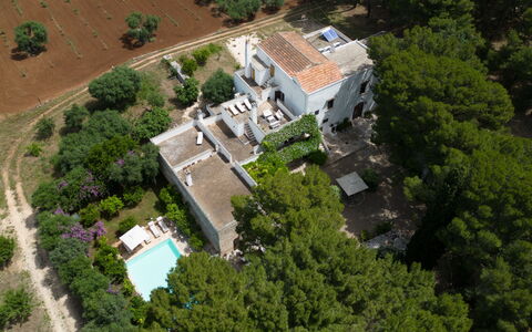 Masseria Tarsia Incuria 8+4: Árbol, Barrio Residencial, Casa, Inmuebles, Vista Panorámica, Asentamientos Humanos, Fotografía Aérea, Suburbio, Diseño, Villa