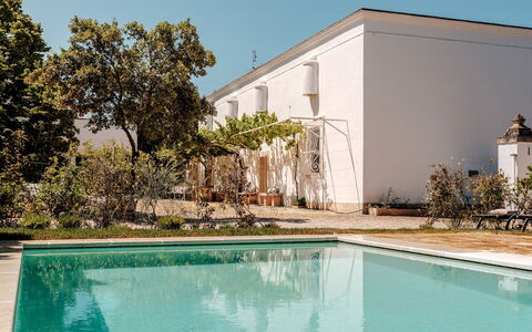 Masseria Profilo 8: Inmuebles, Jardín, Sombra, Piscina, Hacienda, Yarda, Paisajismo, Patio Interior, Patio, Villa