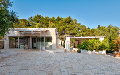 Pigreco 6+2: Árbol, Sombra, Inmuebles, Entrada De Coches, Hormigón, Paisajismo, Patio, Hacienda, Losa, Villa