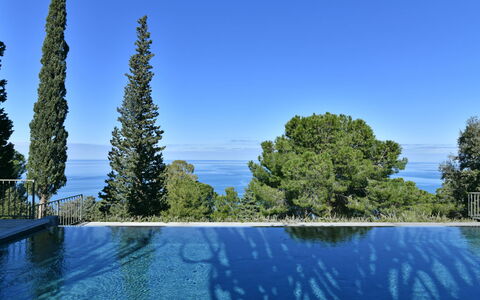 Villa Armonia 8: Azul, Piscina, Hojas Perennes, Zona Tropical, Alerce, Familia De Pino