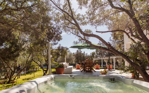 Casa Valentina 6: Árbol, Mueble, Recurso, Piscina, Sombra, Mueble Para Exteriores, Jardín, Silla, Patio Interior, Inmuebles