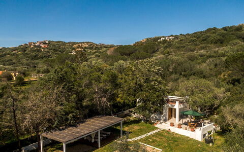 Casa Valentina 6: Árbol, Paisaje, Arbusto, Área Rural, Inmuebles, Primavera, Jardín, Eco Hotel, Paisajismo, Hacienda