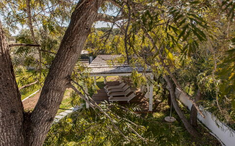 Casa Valentina 6: Rama, Árbol, Hoja, Madera, Vegetación, Ramita, El Maletero, Primavera, Plantas Leñosas, Luz De Sol